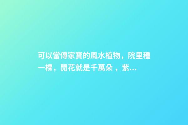 可以當傳家寶的風水植物，院里種一棵，開花就是千萬朵，紫氣東來